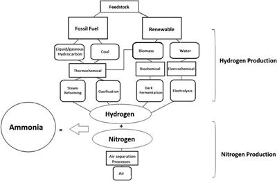 Sustainable Ammonia Production Processes